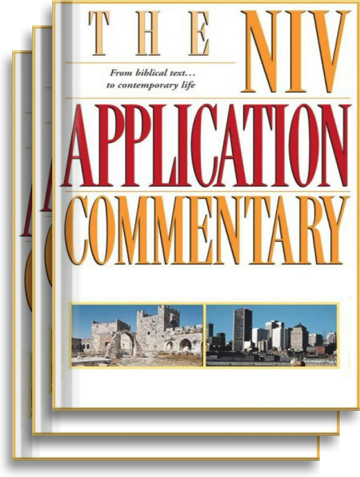 NIV Application Commentary: New Testament