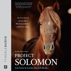 Project Solomon: The True Story of a Lonely Horse Who Found a Home--and Became a Hero