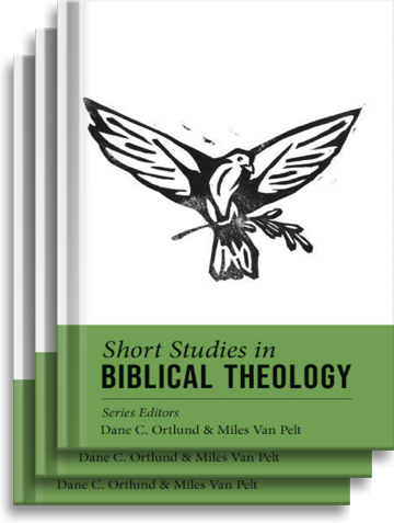 Short Studies in Biblical Theology