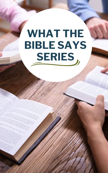 What the Bible Says Series