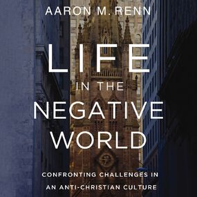 Life in the Negative World: Confronting Challenges in an Anti-Christian Culture