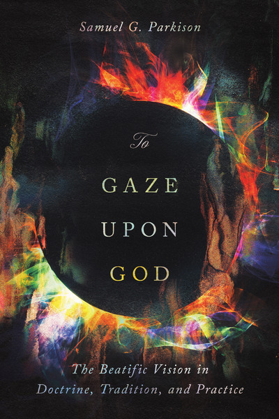 To Gaze upon God: The Beatific Vision in Doctrine, Tradition, and Practice
