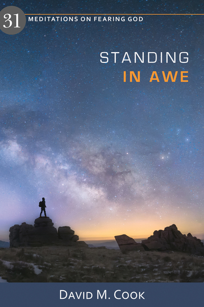 Standing in Awe: 31 Meditations on Fearing God