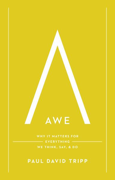 Awe (with Study Questions): Why It Matters for Everything We Think, Say, and Do
