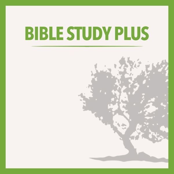 Bible Study Plus Bundle