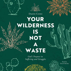 Your Wilderness Is Not a Waste: God's Purpose in Suffering and Struggles